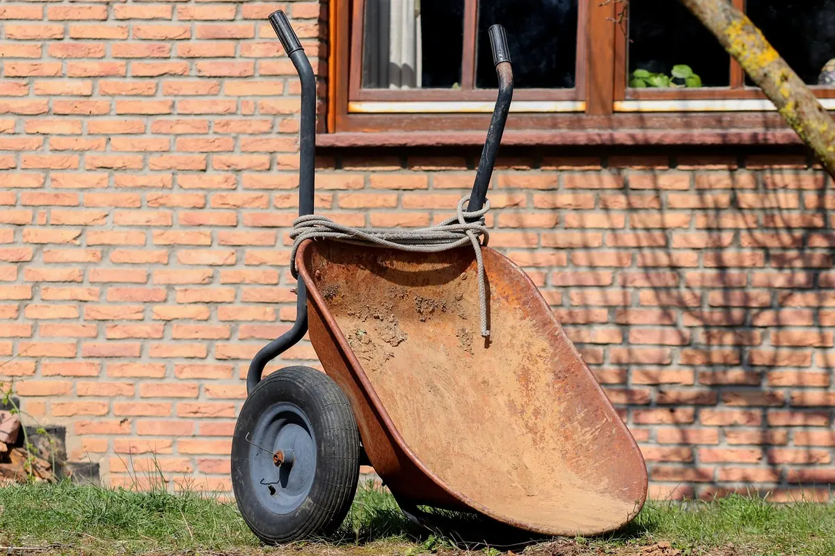 The Essential Garden Tool Kit for Beginners: 10 Tools You Actually Need